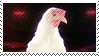 disco chicken